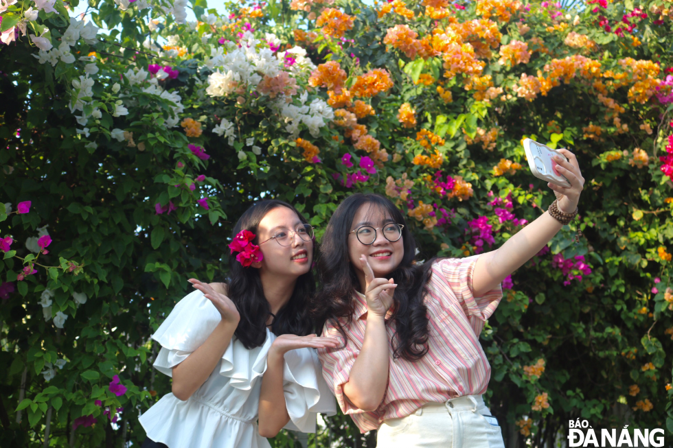 Nguyen Ngoc Phuong Nhi and Nguyen Ngoc Khanh Ly, both from Hue City, second year students of the Da Nang University of Economics,  are saving beautiful memories of their youth in the bougainvillea flowering season in Da Nang.