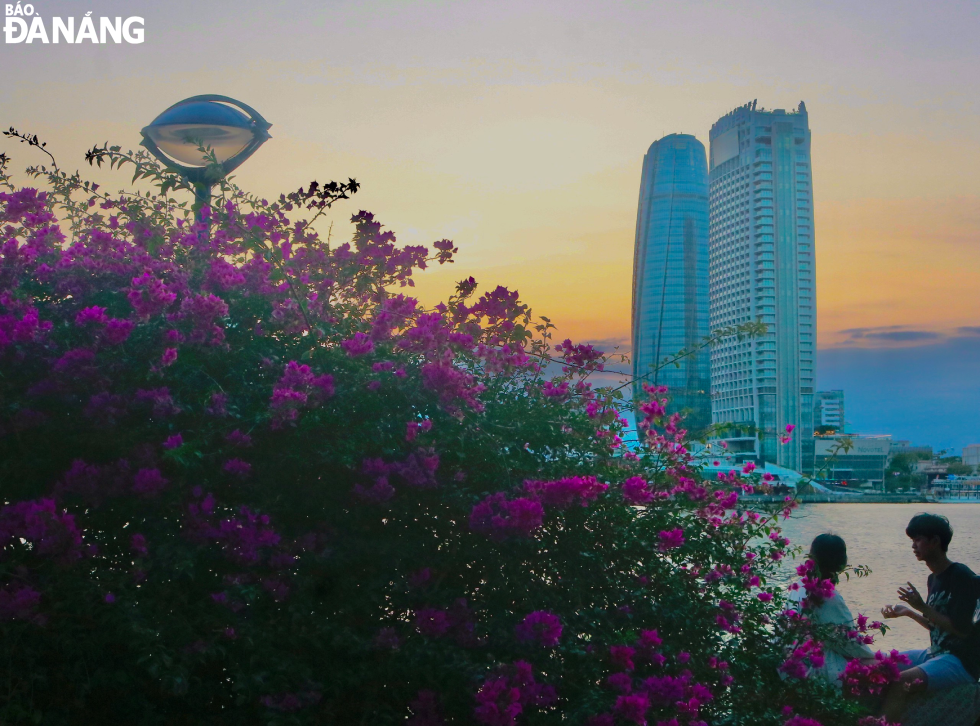 With poetic scenery, on weekends, river banks are crowded with young people who want to admire the beauty of the flowers and take check-in photos.