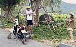 Nỗ lực bảo vệ đàn khỉ ở Sơn Trà