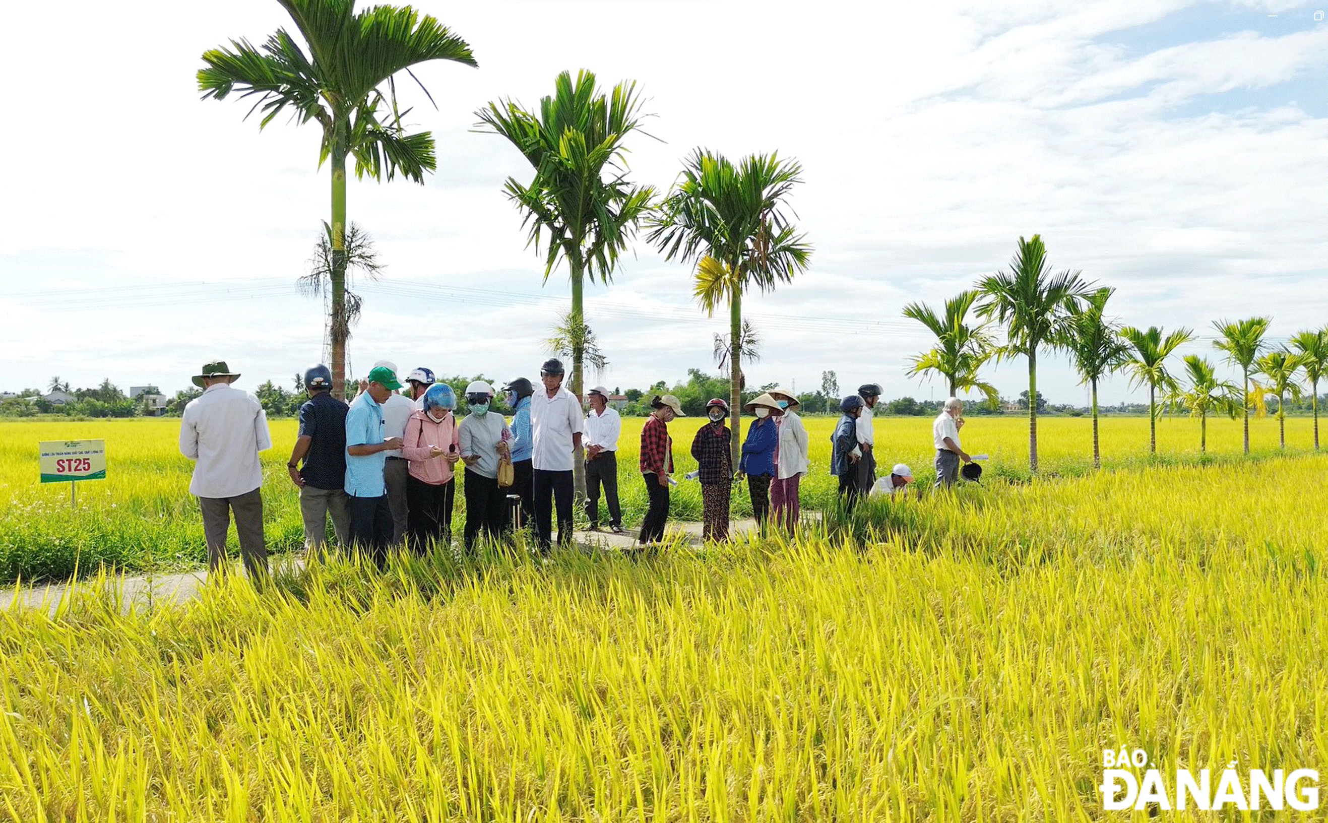 Khuyến nông để trợ lực cho nông dân phát triển kinh tế