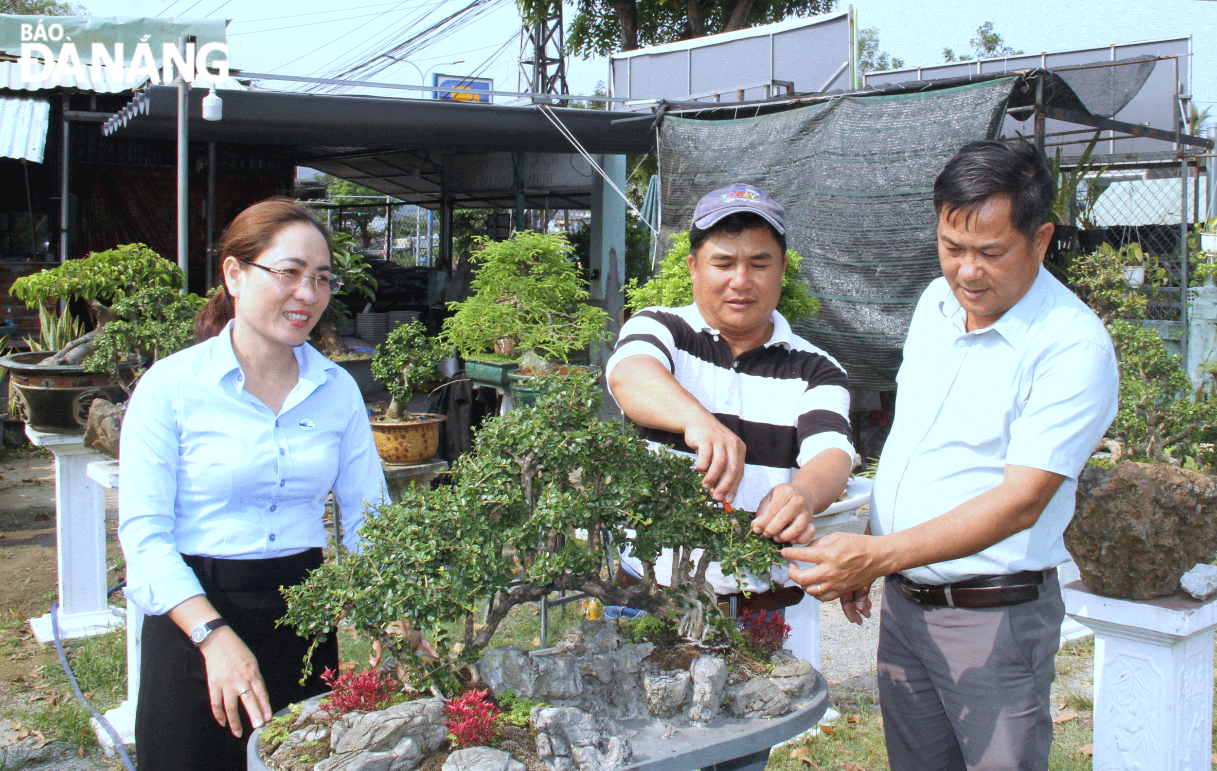 Đại diện lãnh đạo Hội Nông dân phường Hòa Hiệp Bắc thăm, động viên hội viên Chi hội nghề nghiệp sinh vật cảnh cố gắng làm ăn, phát triển kinh tế. Ảnh: LAM PHƯƠNG