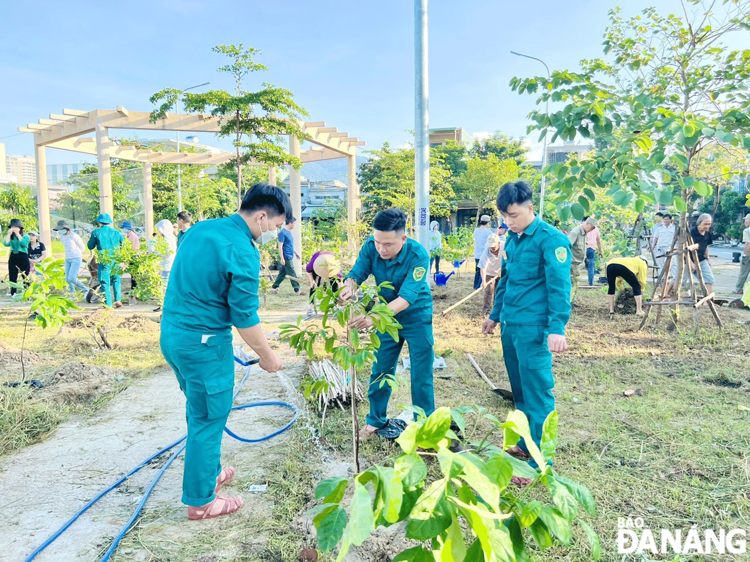 UBND phường Nại Hiên Đông phối hợp cùng Trung tâm Công nghệ sinh học Đà Nẵng (Sở Khoa học và Công nghệ) trồng cây bản địa đặc trưng của quận Sơn Trà tại công viên Nại Hưng 3 và công viên 4C (tháng 10-2023). Ảnh: H.HIỆP	