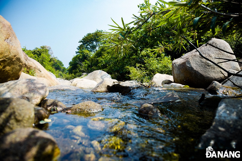 The water in the stream is so clear you can see the bottom.