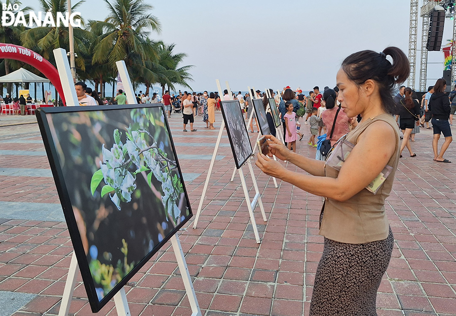 Visitors to photo exhibition themed 