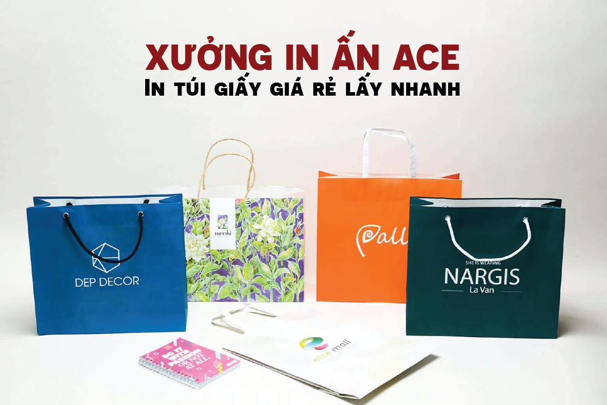 In túi giấy giá rẻ lấy nhanh ở đâu? - Xưởng in ấn ACE