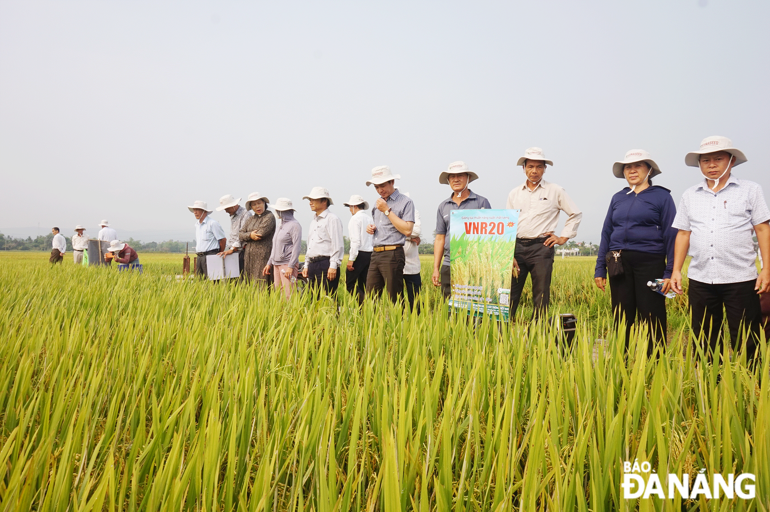 Nghiệm thu mô hình trình diễn các giống lúa mới tại thôn Dương Lâm 2, xã Hòa Phong trong vụ đông xuân 2023-2024. Ảnh: VĂN HOÀNG