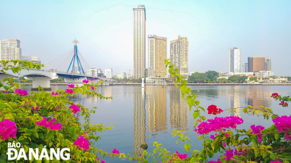 Du khách có thể ngắm hoa giấy đua nhau khoe sắc bên dòng sông Hàn thơ mộng.