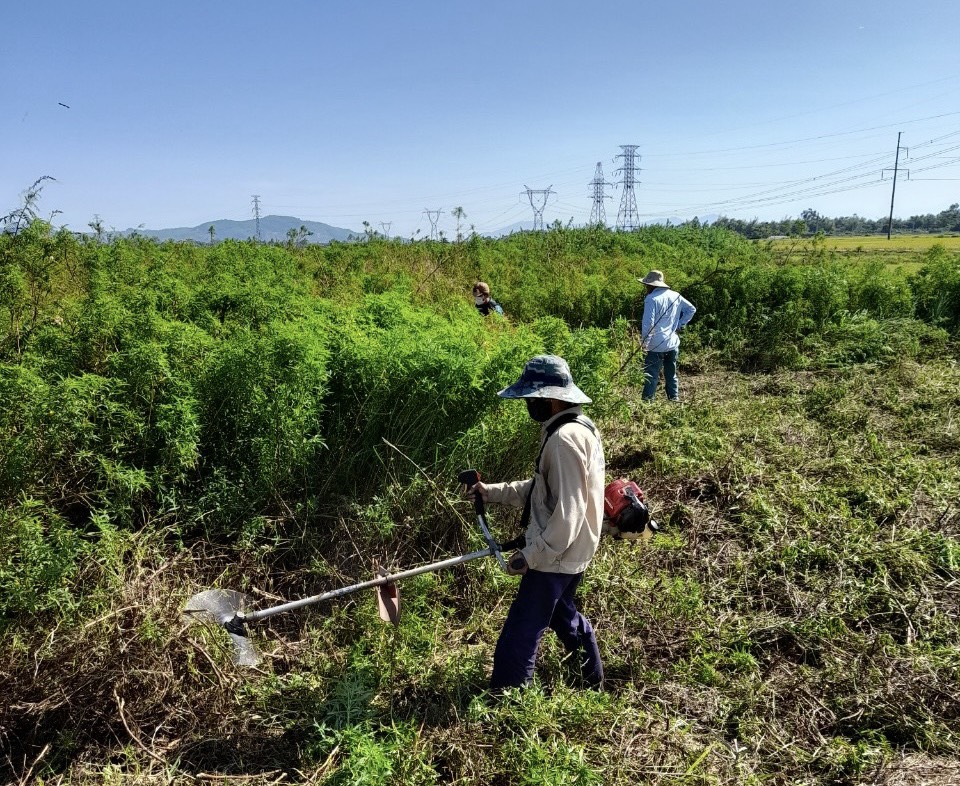 Hội Nông dân xã Hòa Khương (huyện Hòa Vang) khai hoang cánh đồng Tám Tiếu, thôn Phú Sơn Nam. Ảnh: ĐVCC	