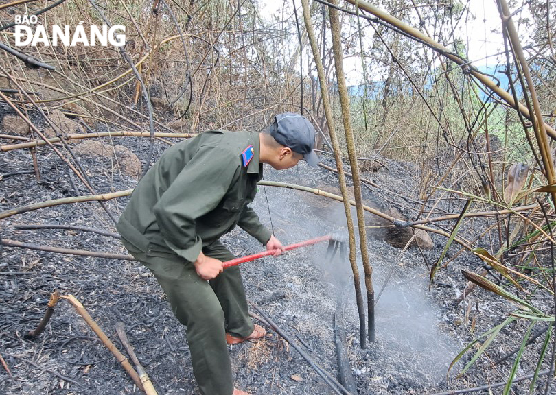 Các lực lượng kiểm tra sau khi đám cháy được dập tắt. Ảnh: Ban quản lý rừng đặc dụng Bà Nà Núi Chúa cung cấp. 