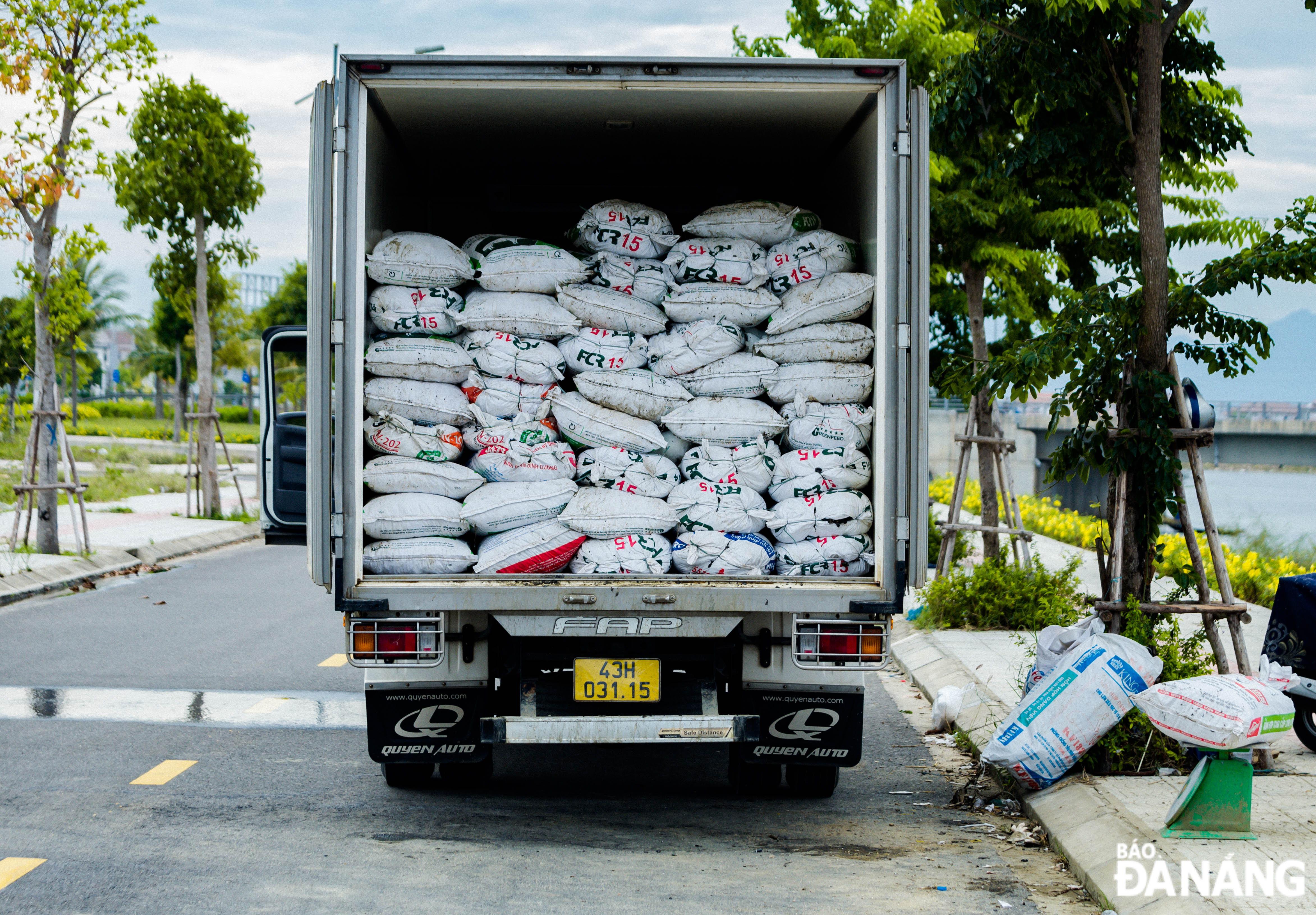 Many trucks gather right where people catch hard-shell clams to buy