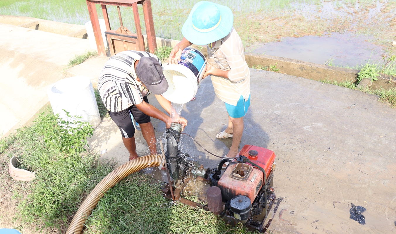 Đề nghị thủy điện vận hành bảo đảm nguồn nước tưới phục vụ sản xuất nông nghiệp