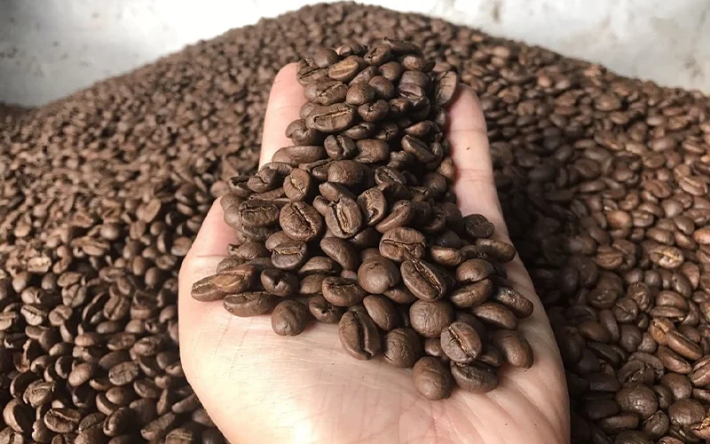 Cà phê Arabica có hàm lượng caffeine thấp mang lại cảm giác êm dịu.