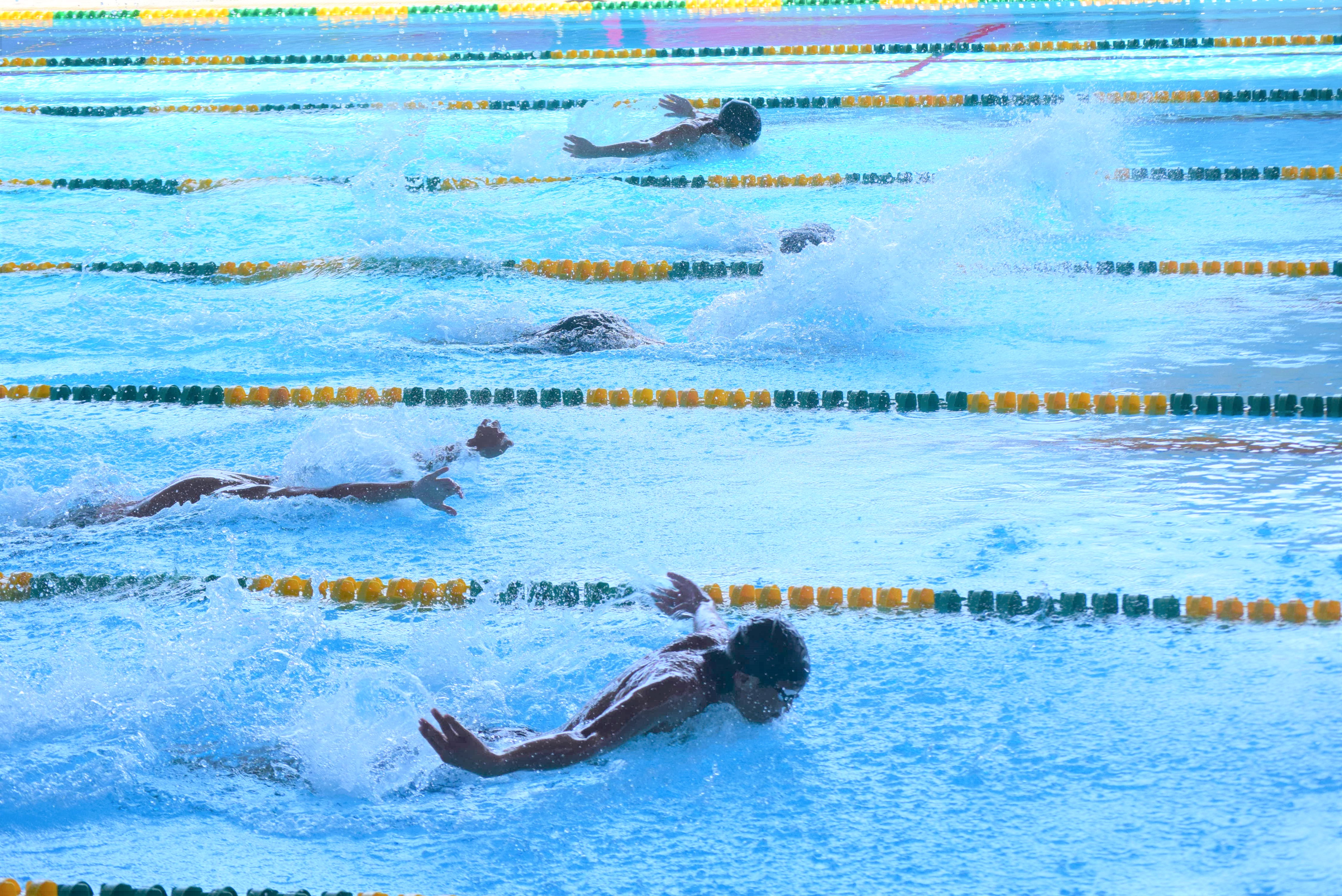 Swimming takes place attractively at the city's swimming and diving club. Photo: P.N