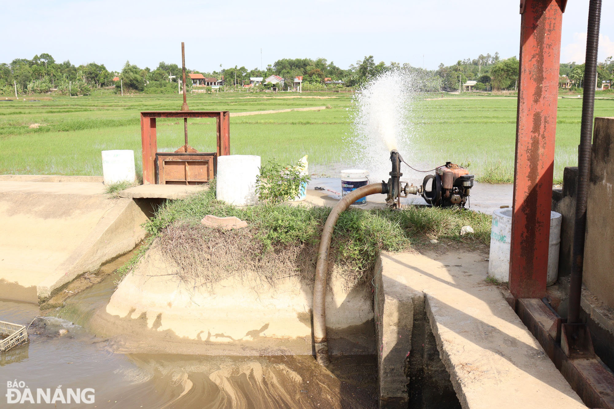 Nguồn nước còn lại từ các hồ, kênh, mương cũng đang được thu gom để đưa nước vào ruộng với phương châm 