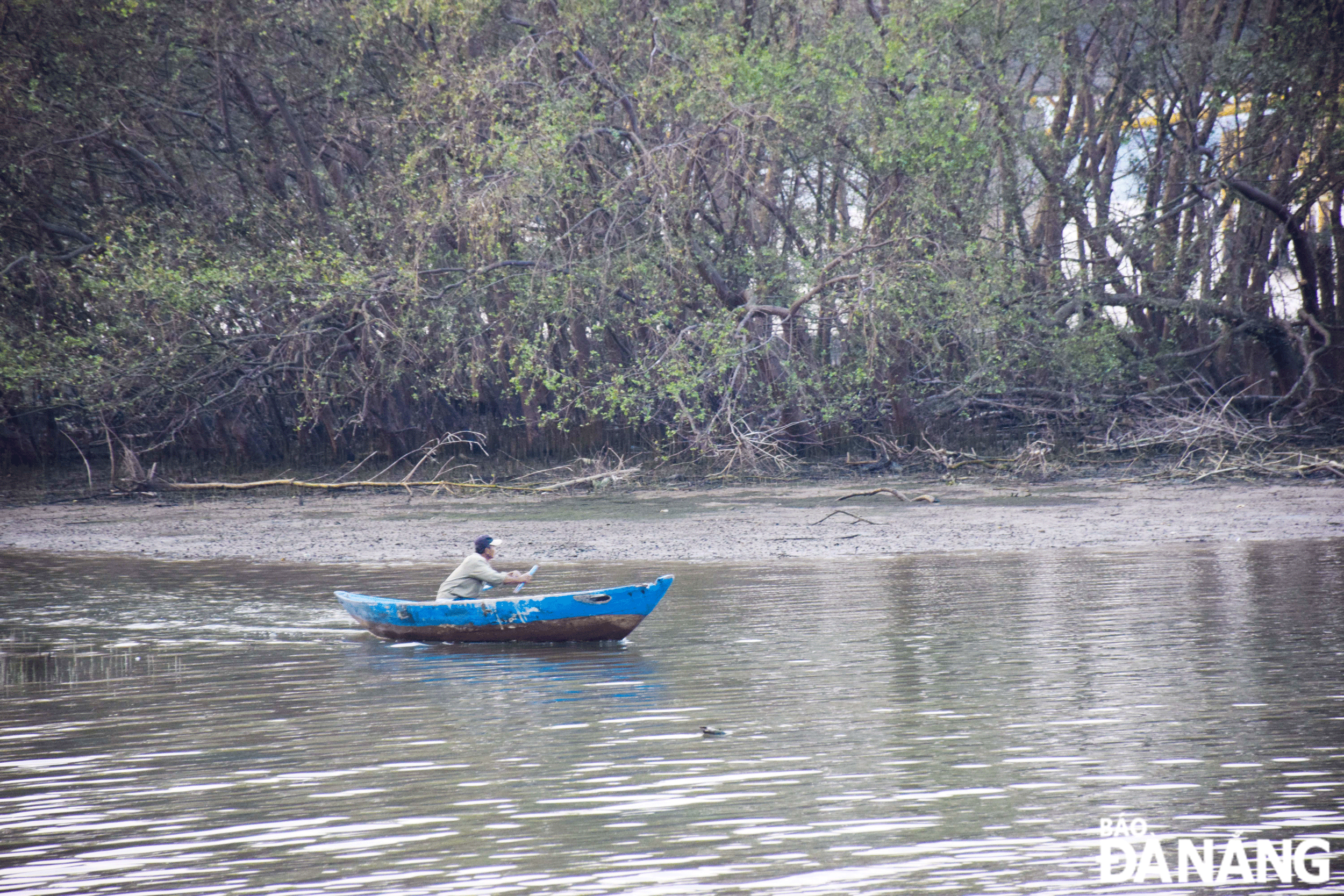 After implementing legal regulations, all activities within the wetland ecosystem will be strictly managed. Photo: DOAN LUONG