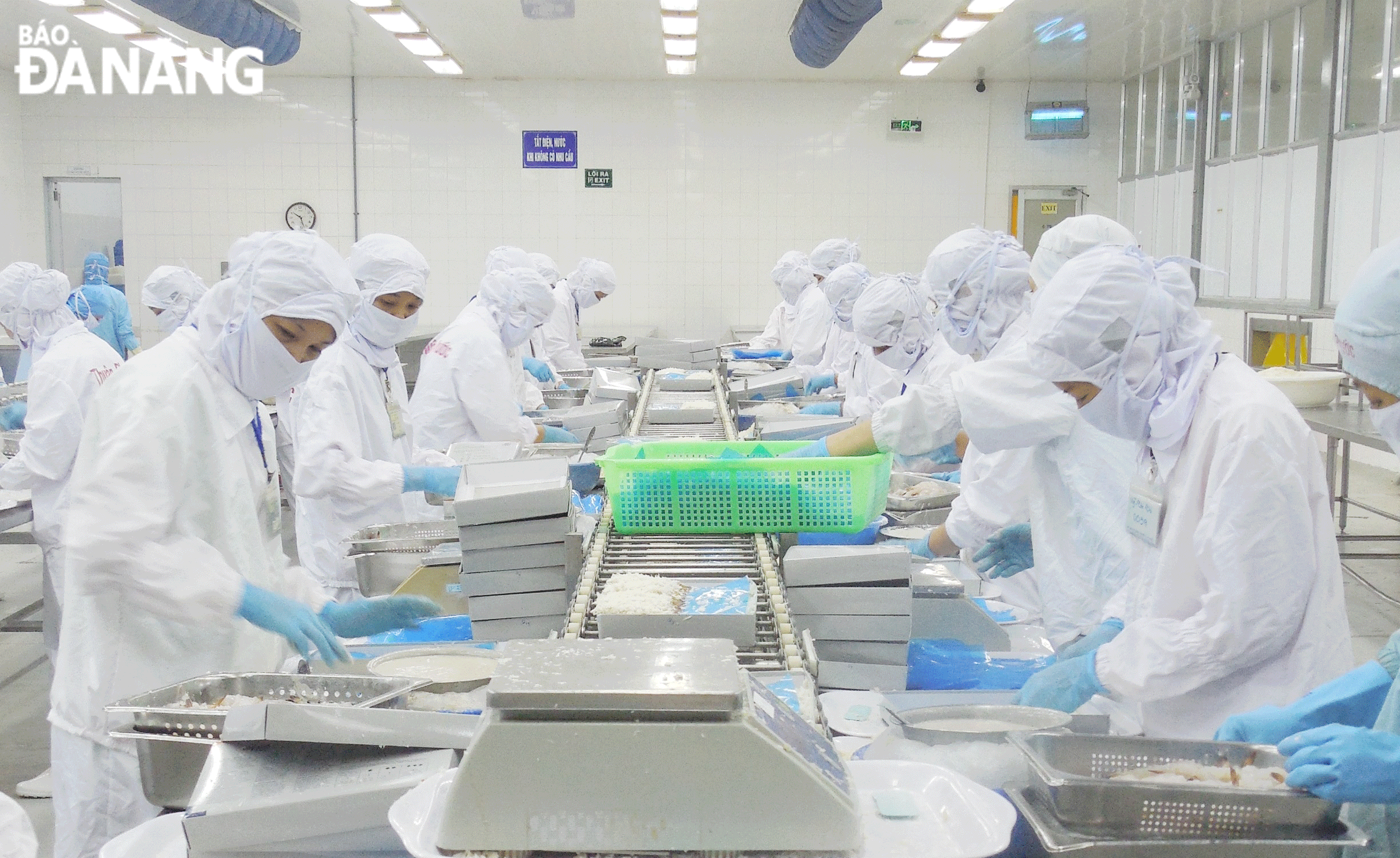 the Thuan Phuoc Seafood and Trading Corporation maintains stable production with the number of orders signed until late 2024