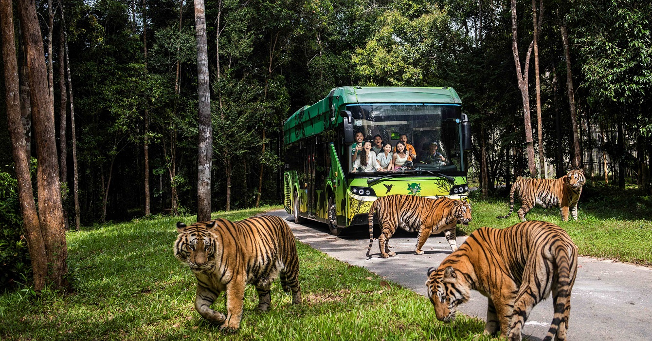 Vinpearl Safari Phú Quốc đạt kỷ lục Safari trên đảo đa dạng loài với số lượng cá thể nhiều nhất Thế giới