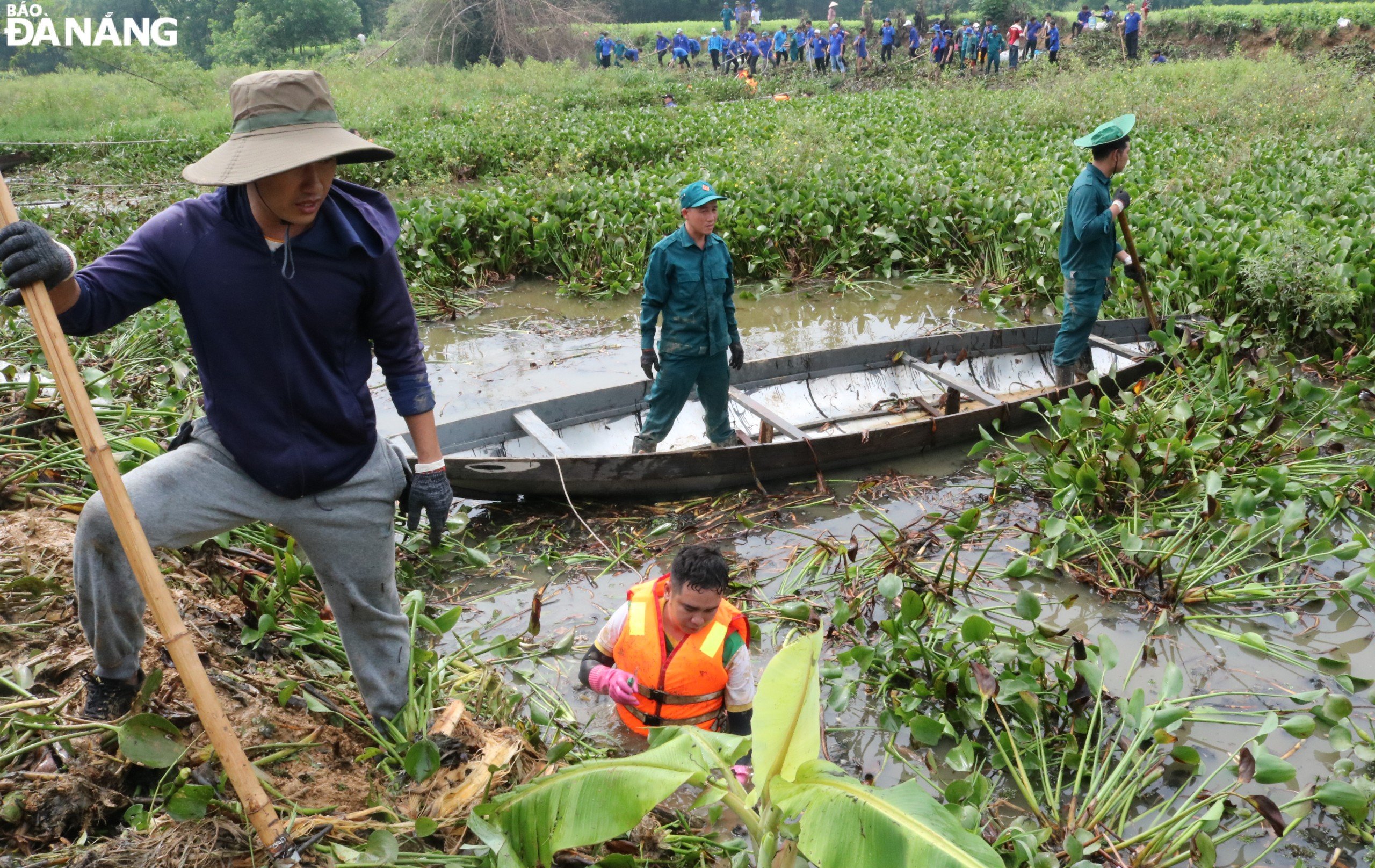 Tuổi trẻ thành phố mang theo áo phao, dầm mình trong nước để vớt bèo tây tại hồ Bàu Tre.