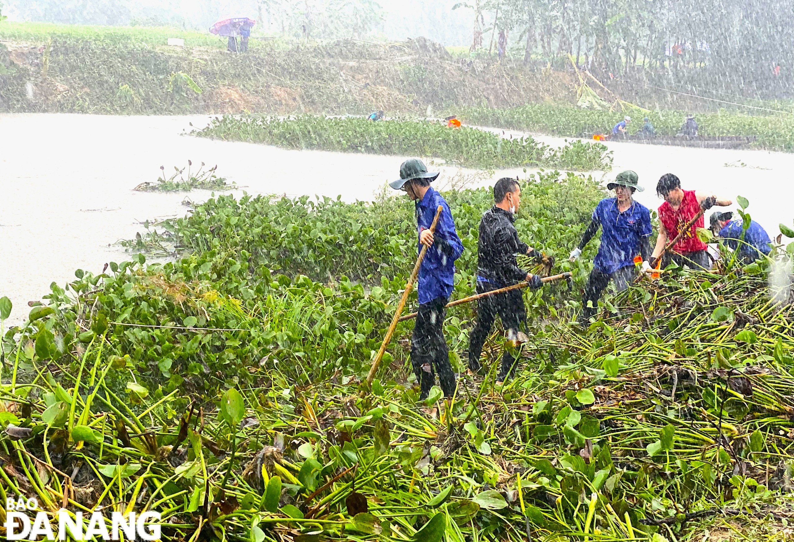 Mưa to, gió lớn không ngăn được tinh thần nhiệt huyết của tuổi trẻ thành phố.