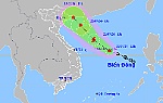 Áp thấp nhiệt đới có khả năng mạnh lên thành bão, Đà Nẵng quản lý chặt chẽ tàu, thuyền