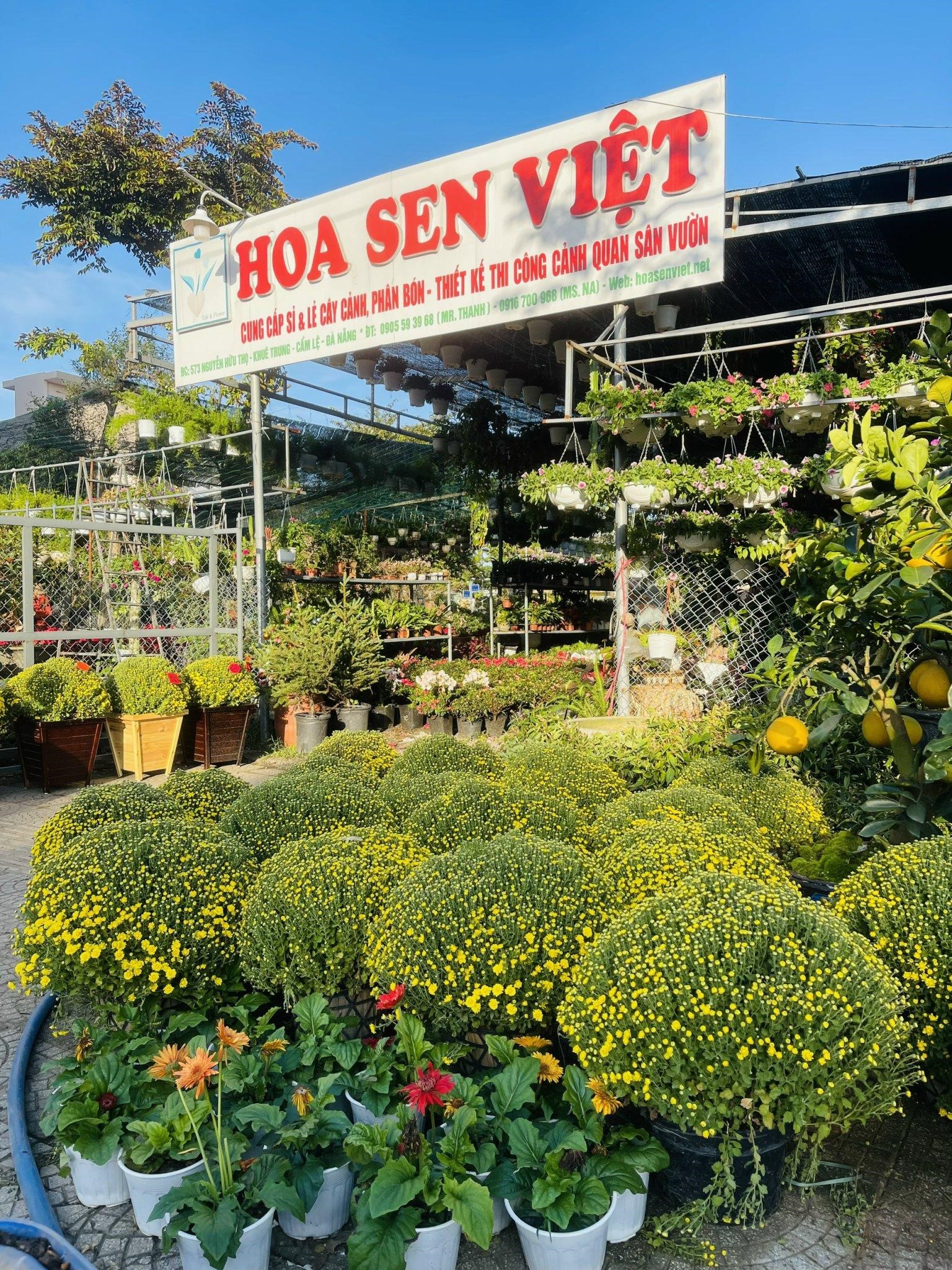 Hoa Sen Việt - Công ty cây cảnh Đà Nẵng hàng đầu Việt Nam