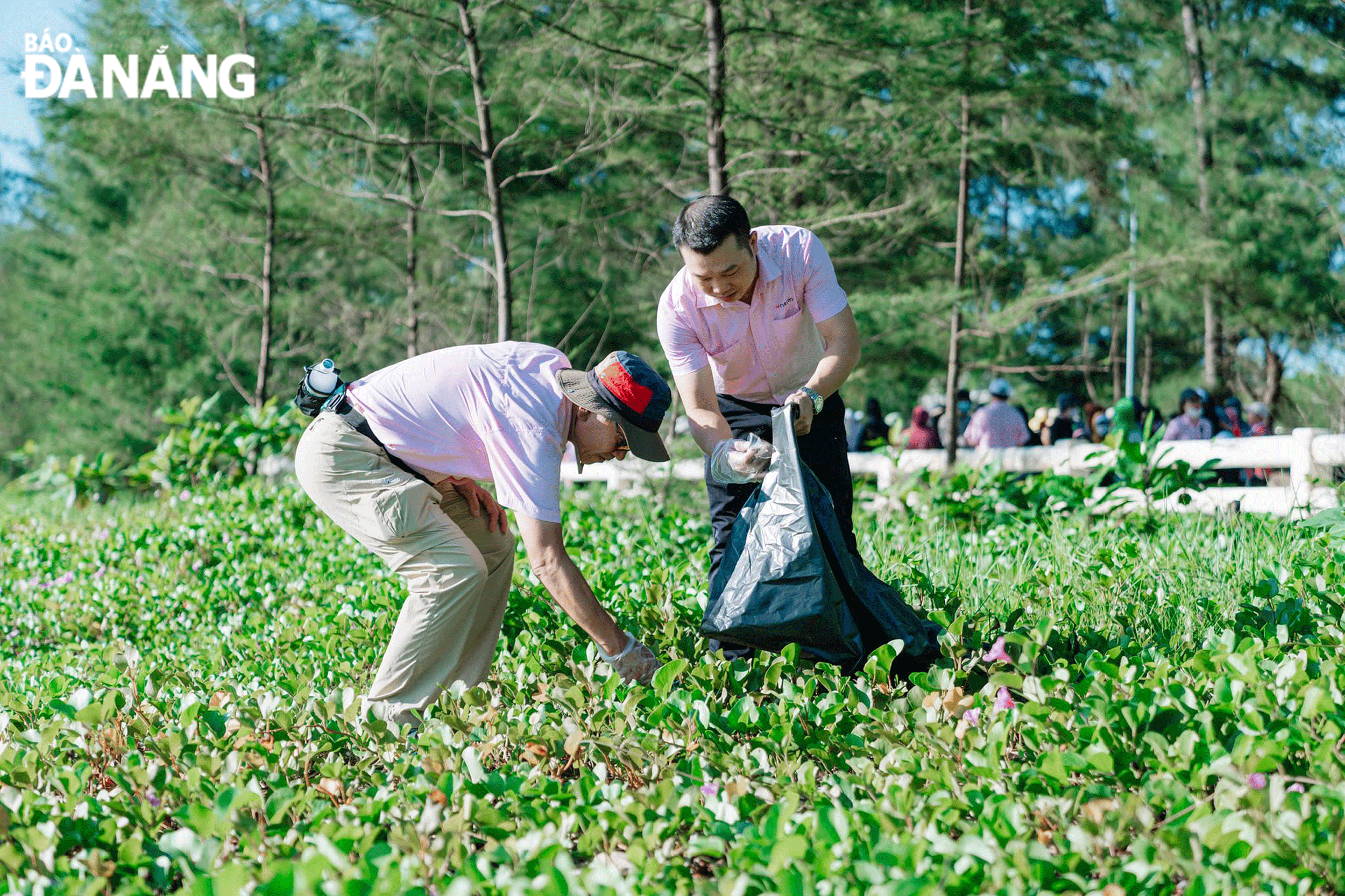 Cùng tham gia bảo vệ môi trường sống