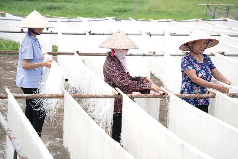 Với nghề truyền thống lâu đời, người dân đã làm nên thương hiệu bún khô Hùng Lô với sợi bún trong, mềm, hương thơm, vị ngọt đặc trưng.	