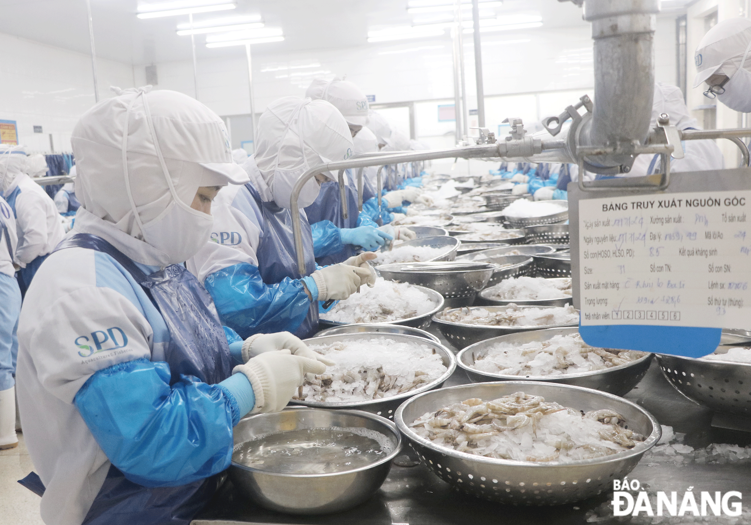 Workers are seen at the Central Seafood Import-Export JSC. Photo: VAN HOANG