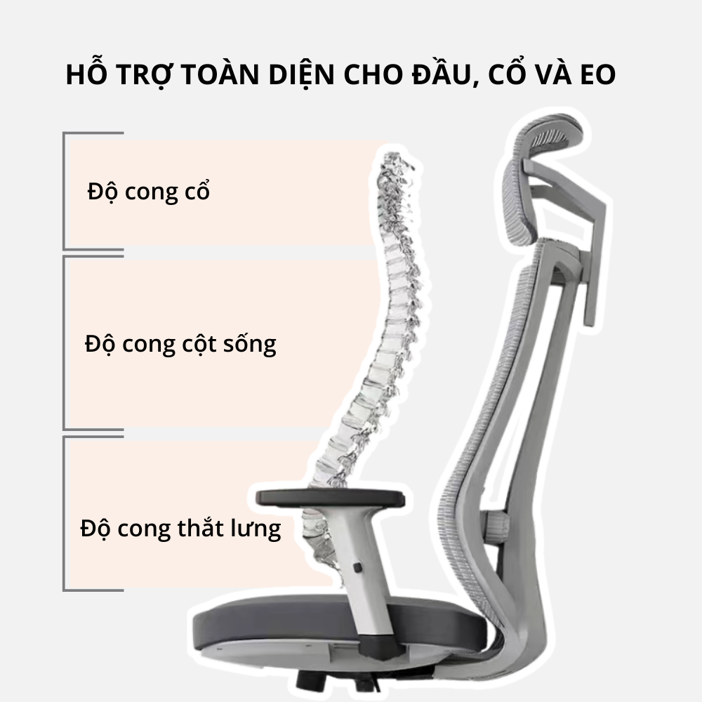 Ghế công thái học với thiết kế hiện đại, hỗ trợ toàn diện cho sức khỏe dân văn phòng