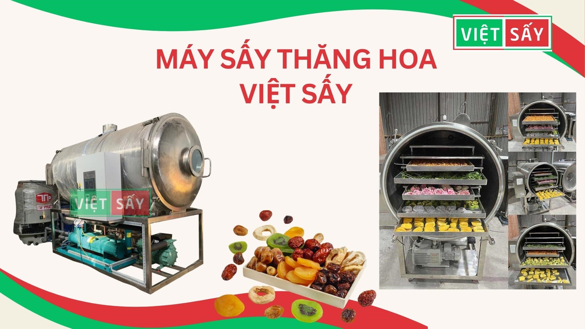 Máy sấy thăng hoa Việt Sấy - Thiết bị sấy thăng hoa chất lượng