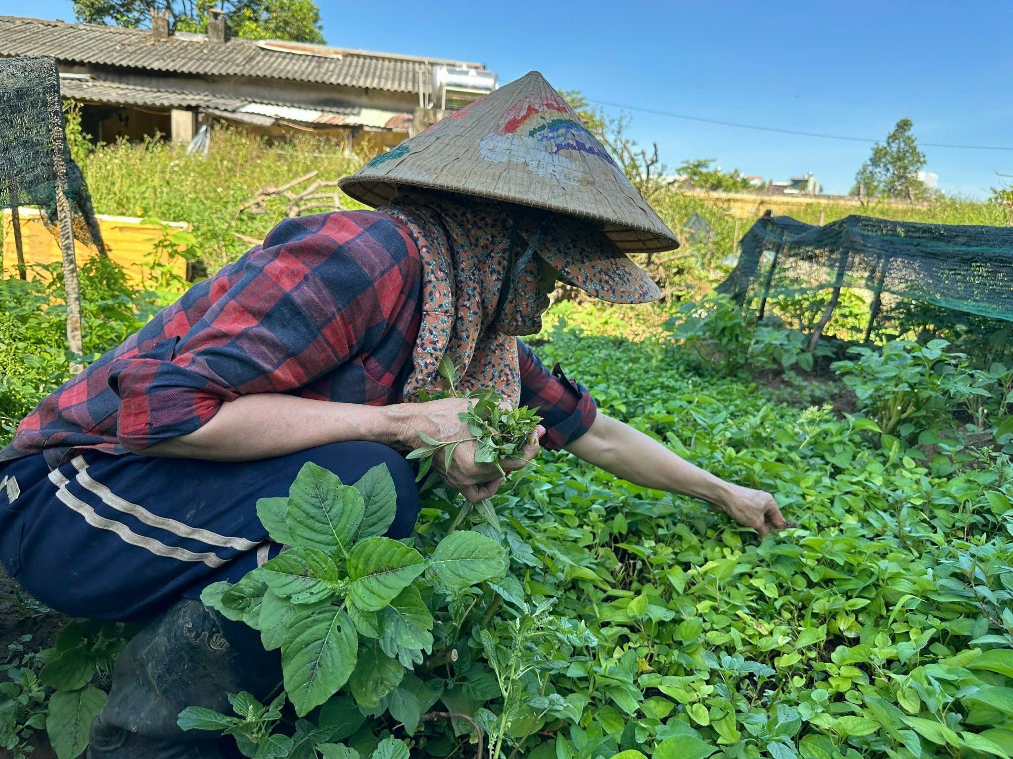 Xây dựng mô hình 