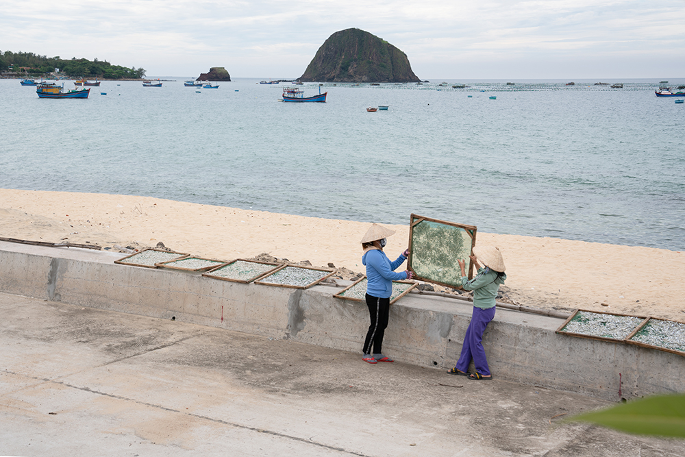 Batches of fish are spread evenly on mesh trays and dried under the scorching sun. During the drying process, the fish must be continuously turned to ensure even drying, whiteness, and fragrance.