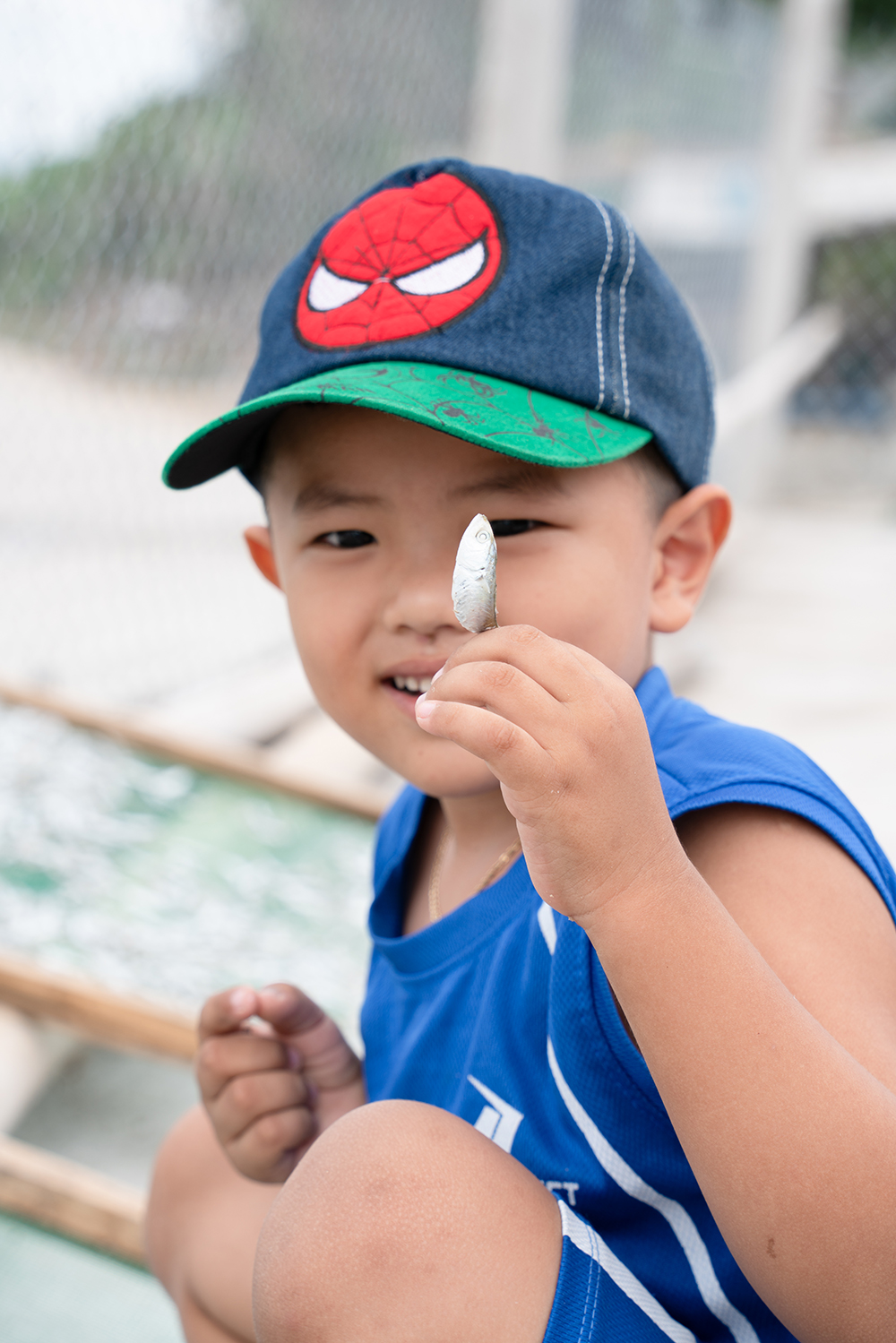 Phu Yen-branded dried anchovies are a specialty loved by numerous tourists and distributed to various provinces and cities nationwide.