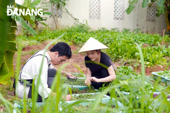 By telling stories through cuisine as well as using 99% of ingredients grown in her own farm, Chef Summer Le (real name Le Ha Uyen) has made the Nen Danang Restaurant become the first Vietnamese restaurant to receive the Michelin Green Star title - an award honouring dining establishments for pioneering in making its commitment to sustainable gastronomy. 