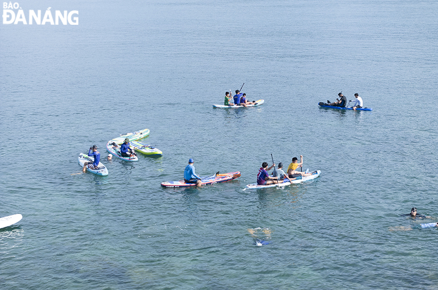 In addition to cleaning up the land area, volunteers who are members of swimming clubs also participate in cleaning up trash stuck in coral reefs. In the photo: Volunteers swim SUP to the coral reef area. Photo: THU HA