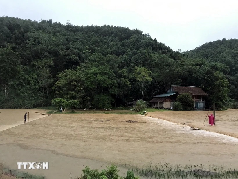 Mưa lớn gây ngập lụt ở huyện Yên Sơn, Tuyên Quang. Ảnh: TTXVN