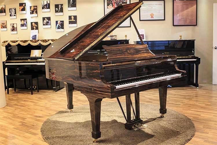 Mua đàn Piano chất lượng tại Nhạc cụ Hoàng Phúc