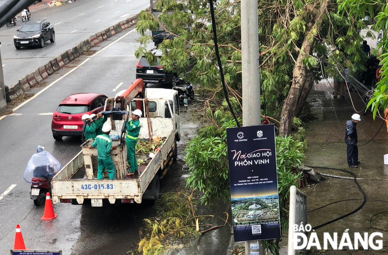 Đà Nẵng hỗ trợ các địa phương cắt, tỉa cây xanh, dọn dẹp đường phố