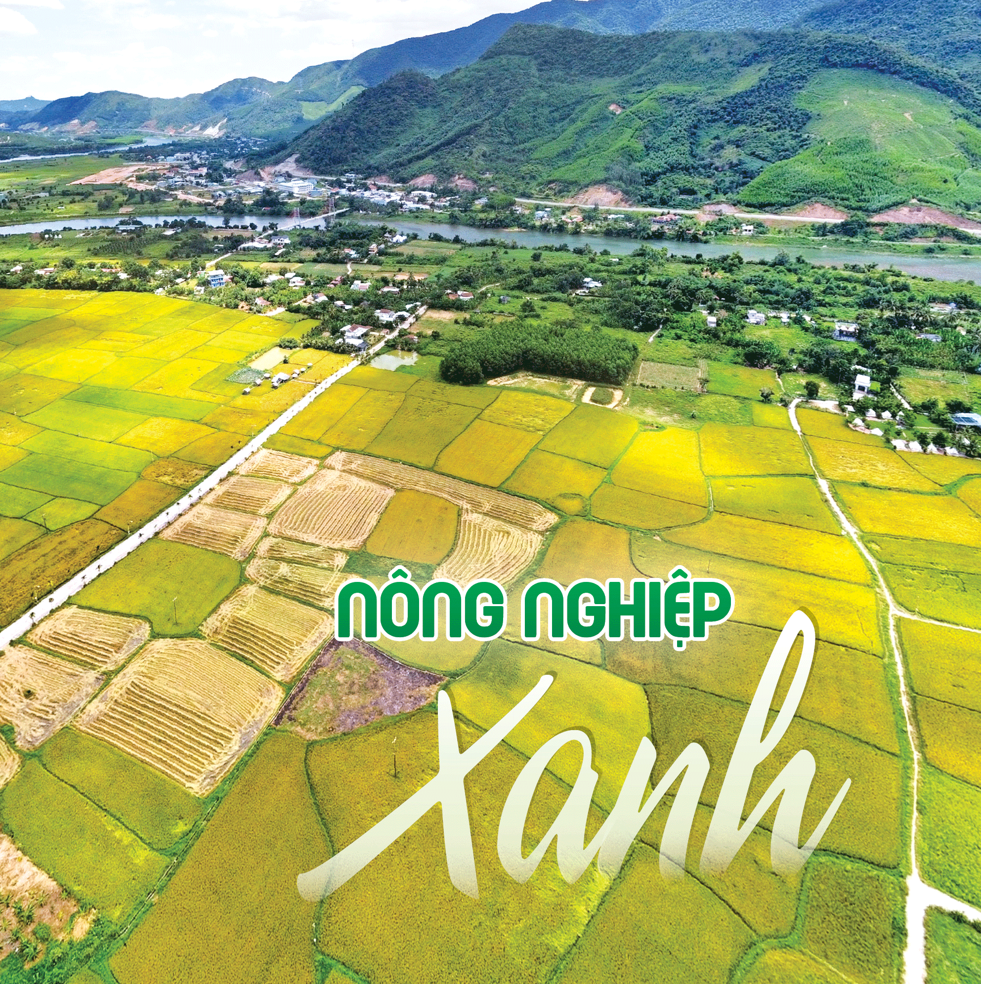 Xanh lại những mảnh ruộng hoang