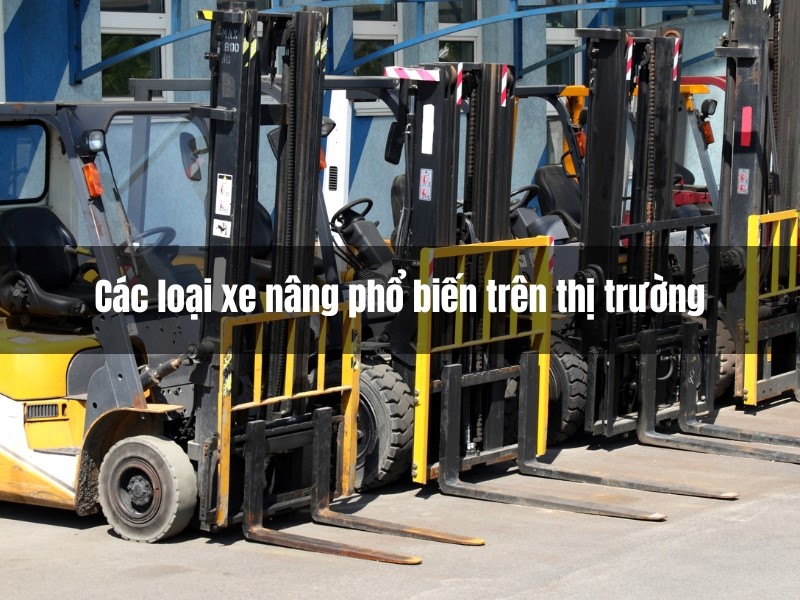 Các loại xe nâng phổ biến hiện nay - Xe nâng Hoàng Đạt