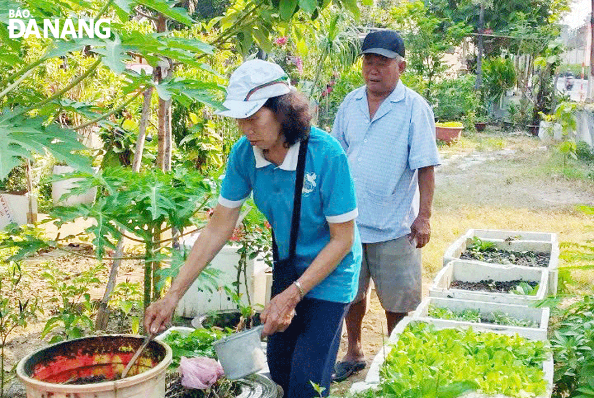 Người dân Khu dân cư số 2, phường Thanh Khê Tây (quận Thanh Khê) triển khai mô hình ủ rác hữu cơ thành phân bón. Ảnh: M.Q