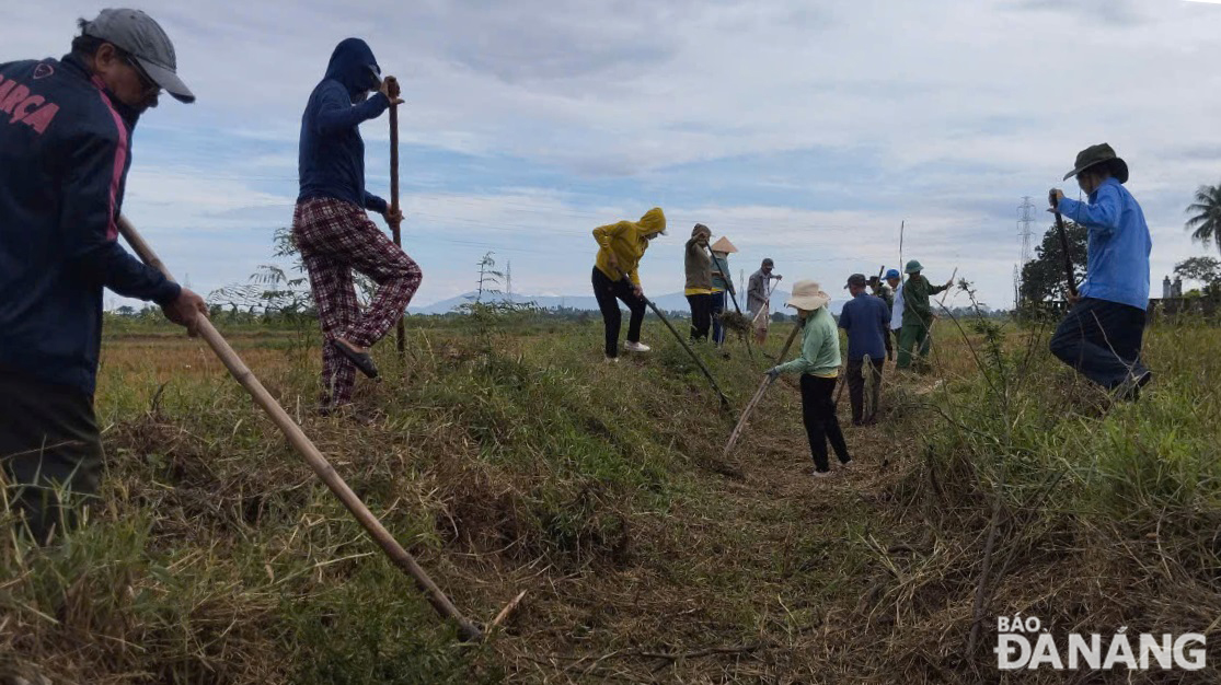 Một trục tiêu qua cánh đồng đang được người dân khơi thông.