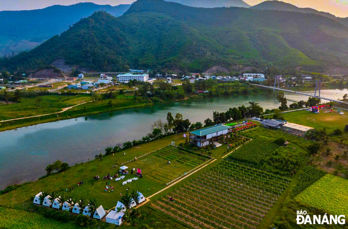 Yen Valley's vineyard located in Nam Yen Village, Hoa Bac Commune, Hoa Vang District, is drawing much attention from many people and tourists.