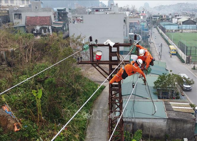 Thi công sửa chữa lưới điện trên địa bàn phường Hà Tu, thành phố Hạ Long, Quảng Ninh, chiều 14/9. Ảnh: Huy Hùng/TTXVN