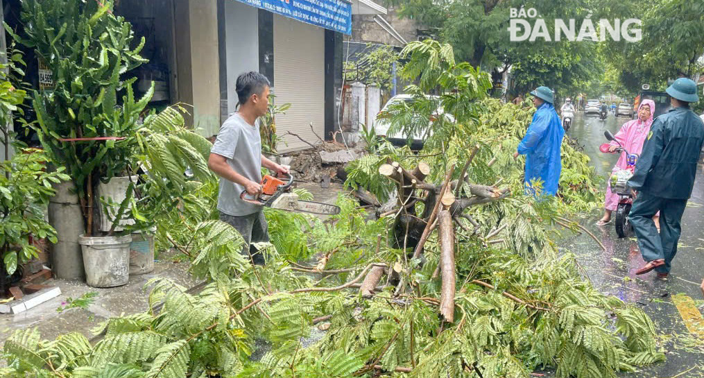 Lực lượng tại chỗ xử lý một cây xanh bị ngã ra đường Tôn Đản (quận Cẩm Lệ) do gió giật mạnh. Ảnh: H.H