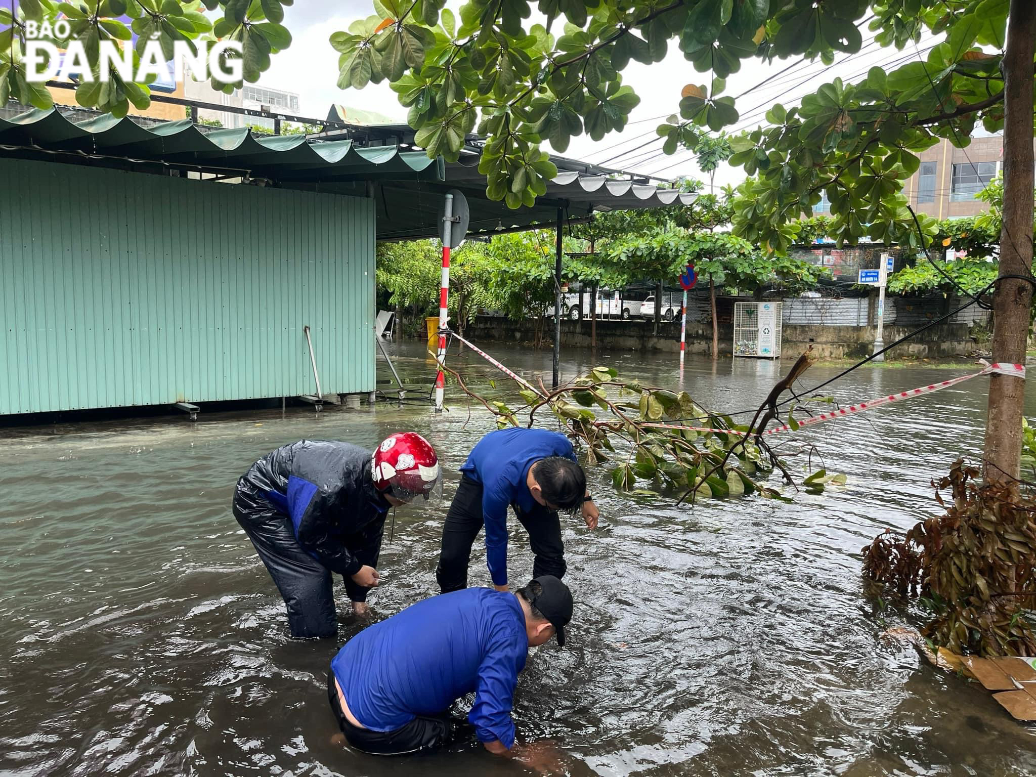 Lực lượng thanh niên xử lý ngập, úng, khơi thông cống, rãnh phường An Hải Bắc (quận Sơn Trà). 