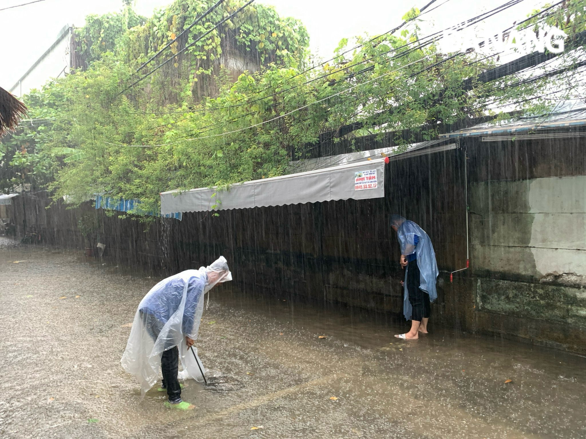 Despite heavy rain, the Youth Volunteer Teams for Natural Disaster Prevention and Mitigation are still actively clearing sewers ensure the smooth operation of the city's entire drainage system.