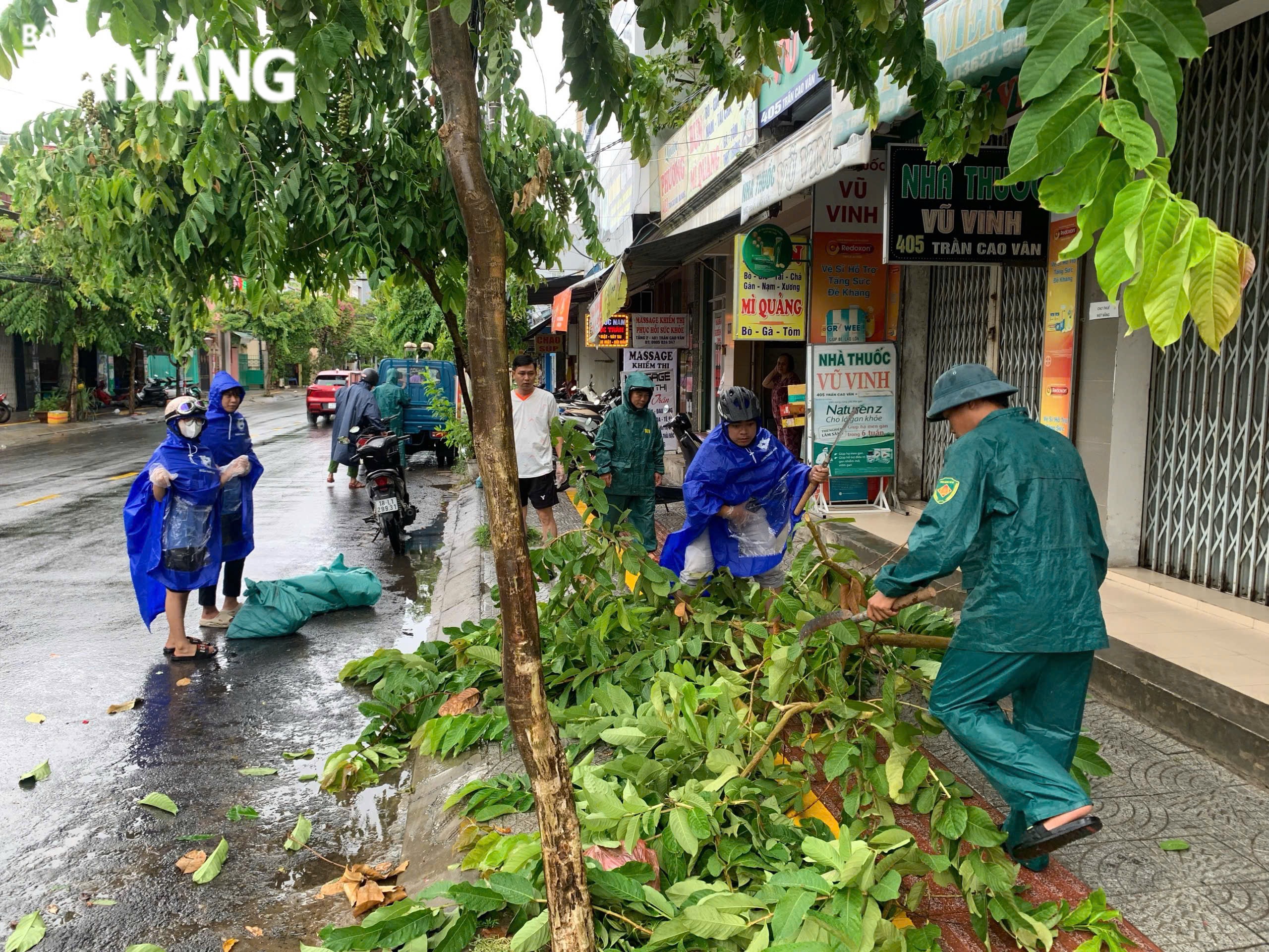 Youth Union members of Thanh Khe District pruning trees, dredging sewers, and cleaning up trash on Tran Cao Van Street.