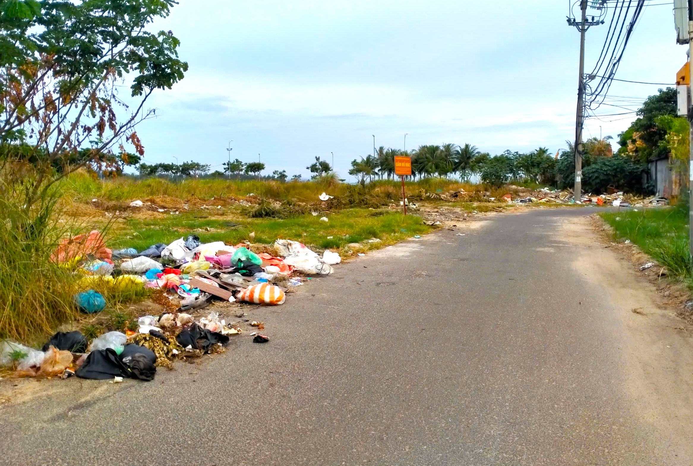 Tại đường Thành Vinh 2 (phường Thọ Quang, quận Sơn Trà) có biển cấm đổ rác trái phép nhưng người dân vẫn lén đổ rác thải vào ban đêm, gây ô nhiễm môi trường, mất mỹ quan đô thị. Ảnh: N.Q	