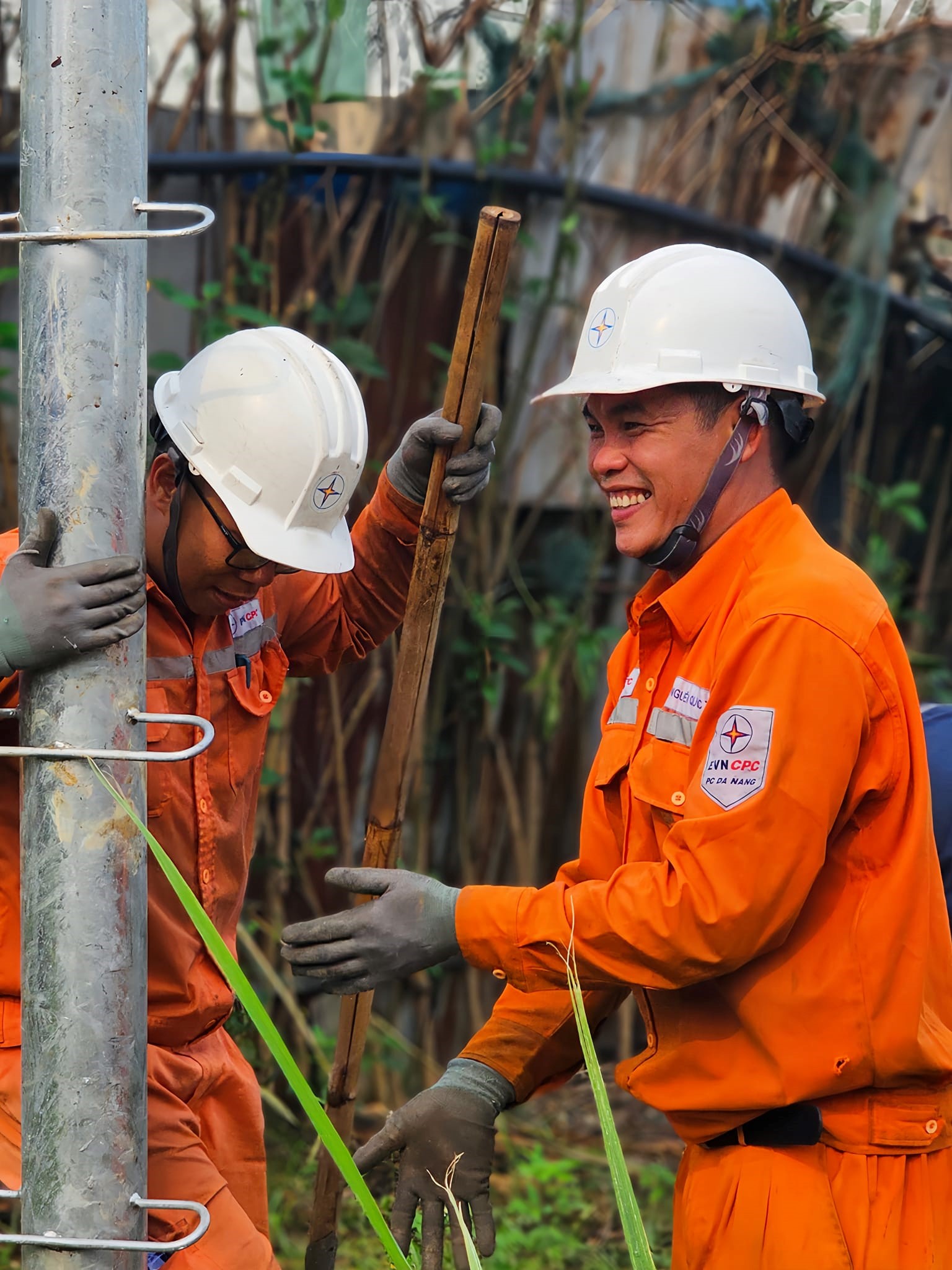 Những trụ điện lạ như lời Xuân Anh được dựng tại Cẩm Phả - Quảng Ninh (Ảnh: Xuân Anh)